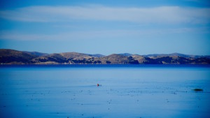 Pêcheur sur le Lac Titicaca